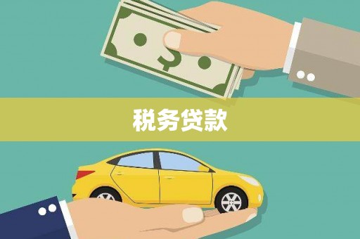 峄城税务贷款