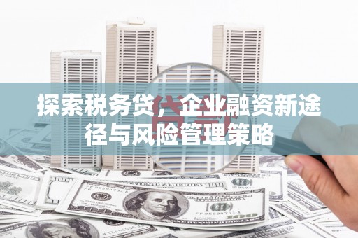峄城探索税务贷，企业融资新途径与风险管理策略