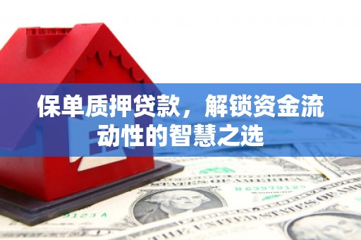 峄城保单质押贷款，解锁资金流动性的智慧之选