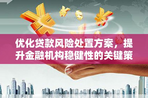 峄城优化贷款风险处置方案，提升金融机构稳健性的关键策略