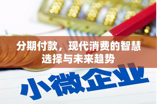 峄城分期付款，现代消费的智慧选择与未来趋势