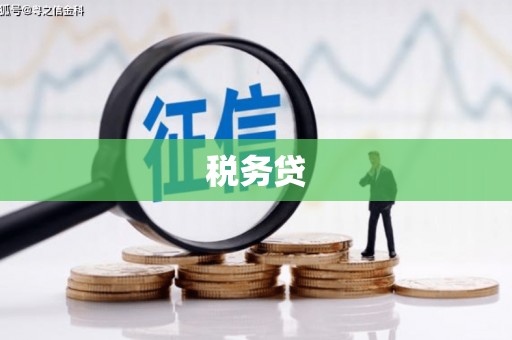 峄城税务贷