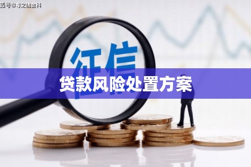 峄城贷款风险处置方案