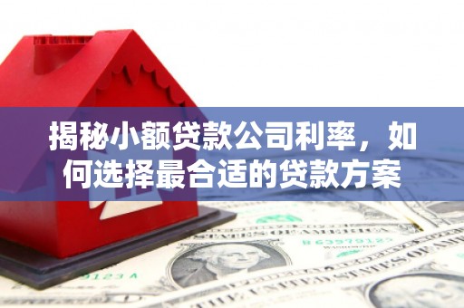 峄城揭秘小额贷款公司利率，如何选择最合适的贷款方案