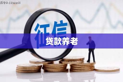 峄城贷款养老