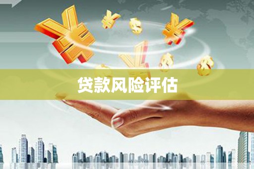 峄城贷款风险评估