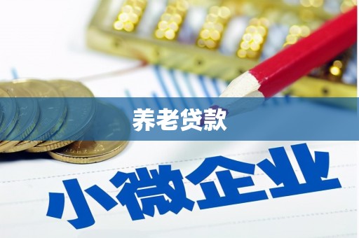 峄城养老贷款