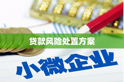 峄城贷款风险处置方案